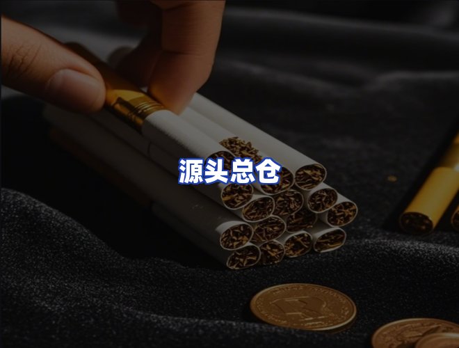 专业团队